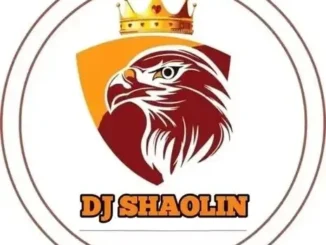 DJ Shaolin Temple & Mr Choko – Gbadun Guys Inside Ake Kushimo