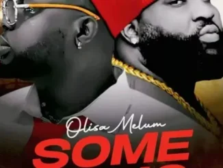 Somval – Olisa melum