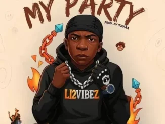 Li2 Vibez – My Party