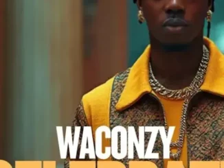 Waconzy – I Celebrate