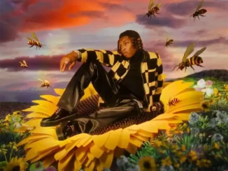 Rybeena – Mr Bee EP (Album)