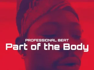 Professional Beat – Part of the Body
