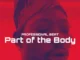 Professional Beat – Part of the Body