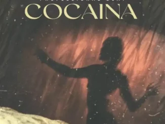 Professional Beat – Cocaina