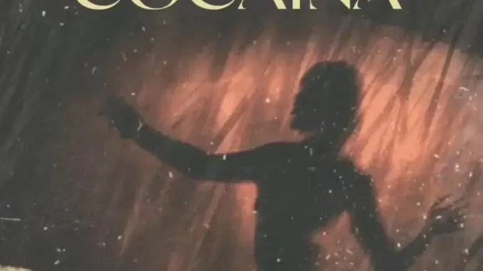 Professional Beat – Cocaina