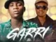 Funnybros – Garri Ft. Ogb Recent