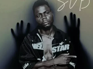 Pon S Perfect – SVB