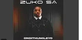 Zuko SA – Impilo