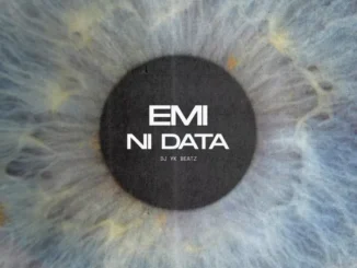 Portable – Emi ni Data