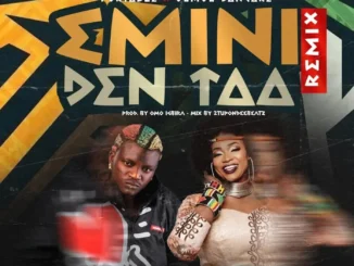 Portable & Oumou Sangare – Emini Den Taa (Remix)