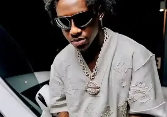 Shallipopi – Desperado Laho Speed Up