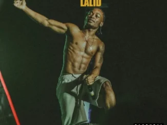 Lalid – The Matter