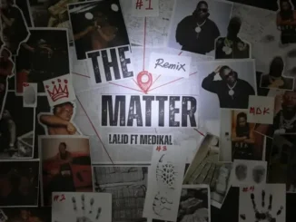 Lalid – The Matter (Remix) feat. Medikal
