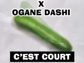 Le Condiment – C’est Court feat. Ogane Dashi