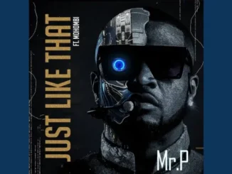Mr. P – Just Like That ft Mohombi