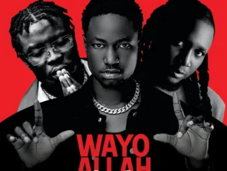 OG Abbah – Wayyo Allah Na (Remix) Ft B.O.C Madaki & Mr442