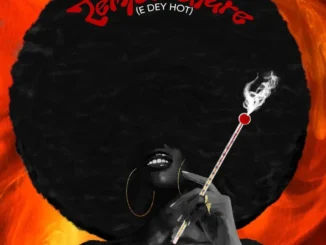 Omawumi – Temperature (E Dey Hot)