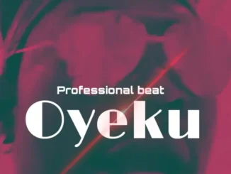 Professional Beat – Oyeku