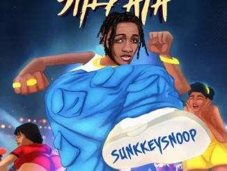 SunkkeySnoop – Awon Omo Shepata