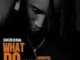 Xkrona – What Do You Want