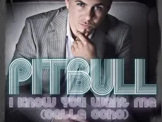 Pitbull – I know you want me (Calle ocho)