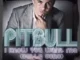 Pitbull – I know you want me (Calle ocho)