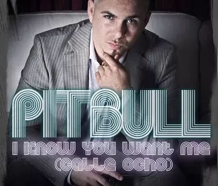 Pitbull – I know you want me (Calle ocho)
