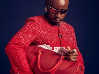 Benzoo – Snokonoko