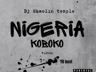 Dj Shaolin – Nigeria Koboko Tiktok Yii Beat