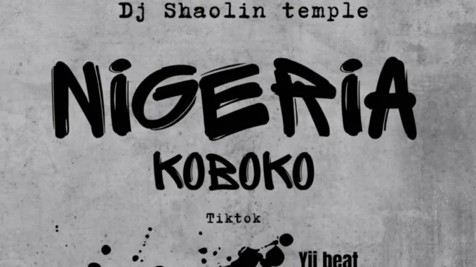 Dj Shaolin – Nigeria Koboko Tiktok Yii Beat