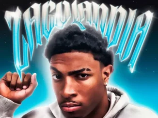 DJ BL – Assume a culpa