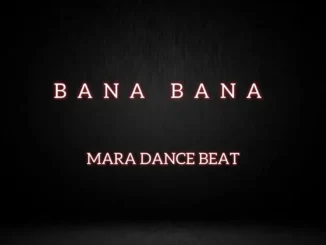 DJ Damlex Soundit – Bana Bana Mara Dance Beat