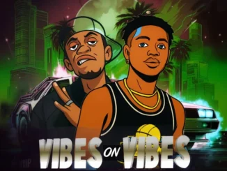 Savitozzy – Vibes On Vibes Ft. Zillions DonDada