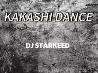 DJ Starkeed – Kakashi Dance