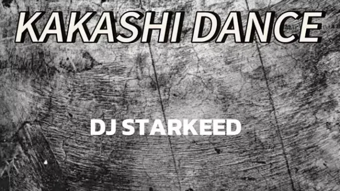 DJ Starkeed – Kakashi Dance