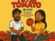 Damithurman – Toyin Tomato (Cover)