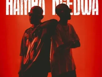 TitoM, Yuppe & Ceehle – Hamba Ngedwa feat. JayJayy