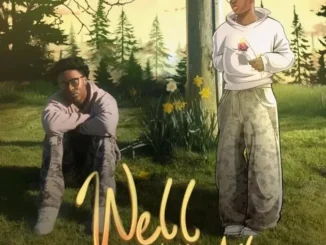 Nello MXL – Well