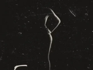 Professional Beat – Figure