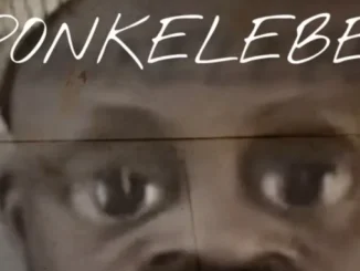 Professional Beat – Ponkelebe