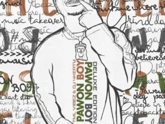 TML Vibez & DJ 4kerty – Intro (Going)