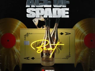 DJ Pablo – Ace Of Spade Beat