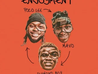 Poco Lee ENJOYMENT Ft. Mavo & Diamond Boy