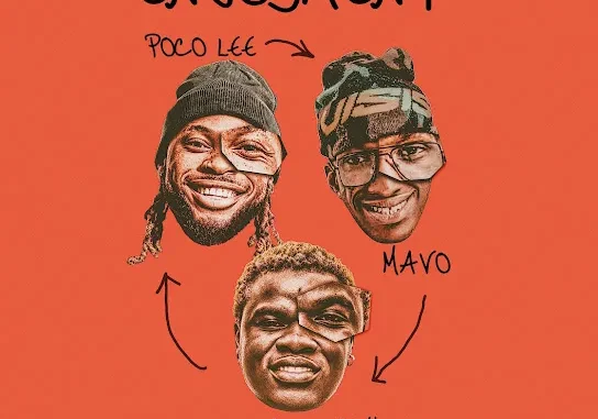 Poco Lee ENJOYMENT Ft. Mavo & Diamond Boy