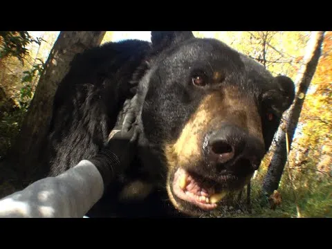 Joji – Past Won’t Leave My