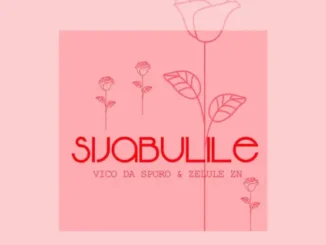 DarkoVibes – Shashii