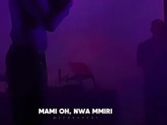 Samsong – Odogwu Na Boss