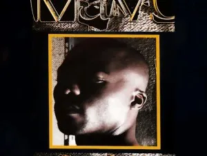 Mavo – Guerilla Album