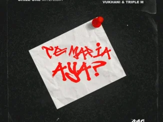 Chile One Ft Chef 187, Vukhani & Triple M – Te Mafia Aya