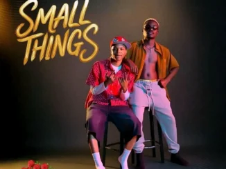Aidfest Ft Kineo – Small Things